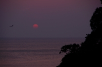 駿河湾に太陽が沈んでいく。
